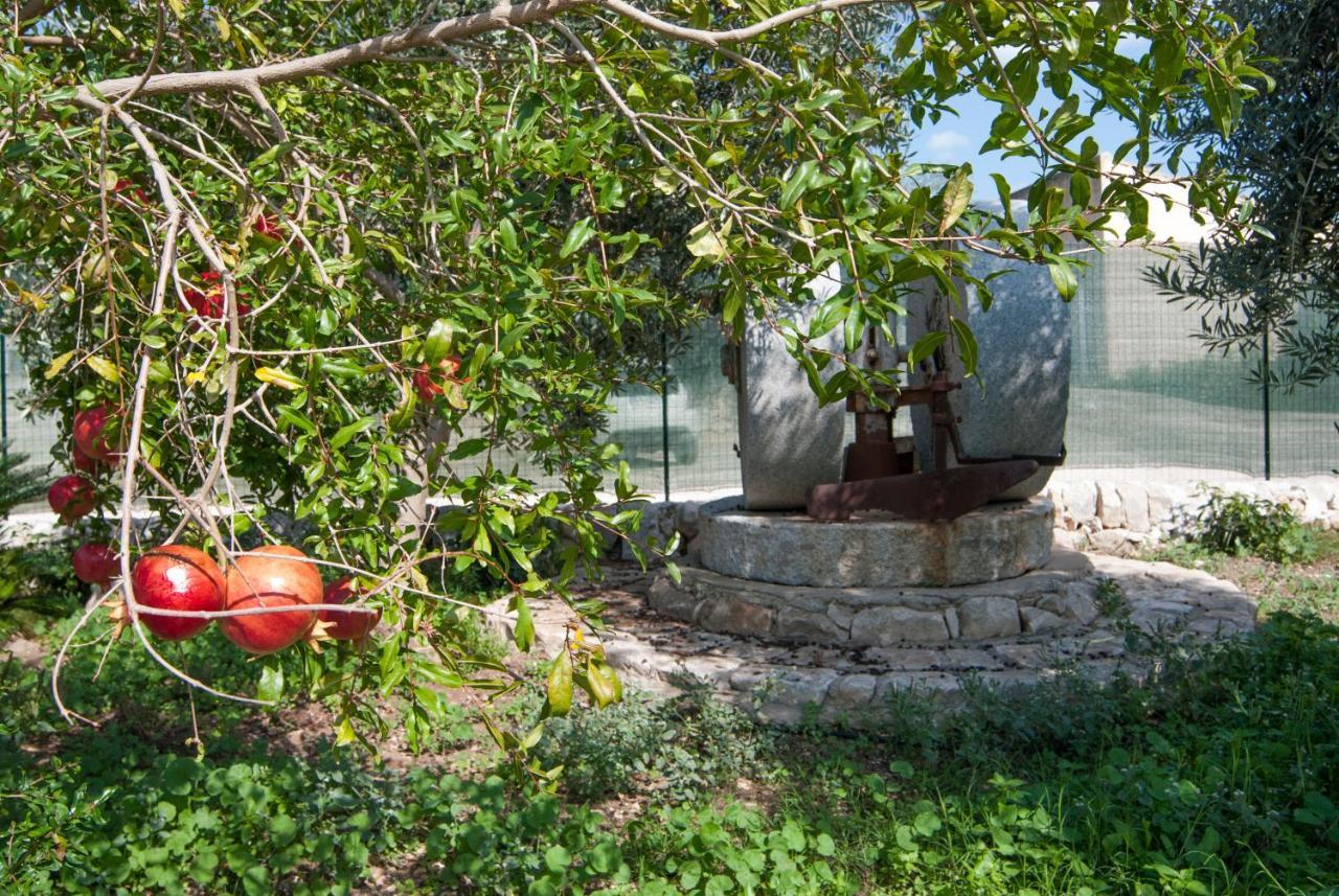 Agriturismo Al Casale دونافوغاتا المظهر الخارجي الصورة